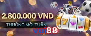 vui88