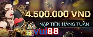 vui88